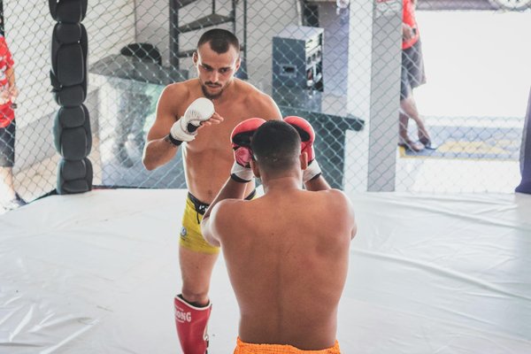 Zoom sur l'anatomie des triceps et leur fonctionnement lors de l'exercice